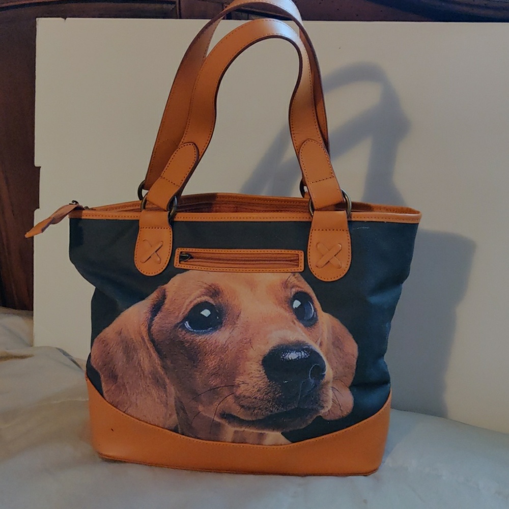 Ardleigh Elliot Dachshund faithful friends dog tot